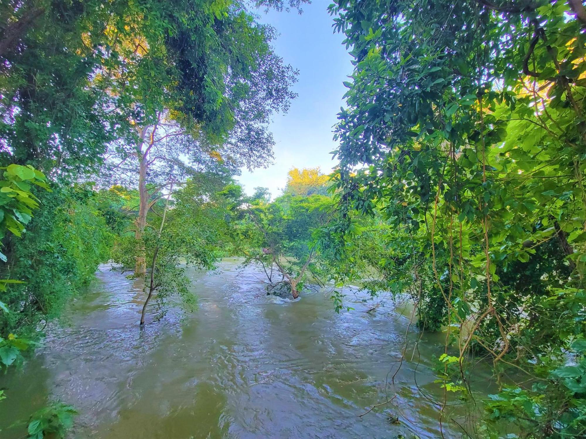 Jami River Side Hotel & Yala Safari Place Tissamaharama Exterior photo